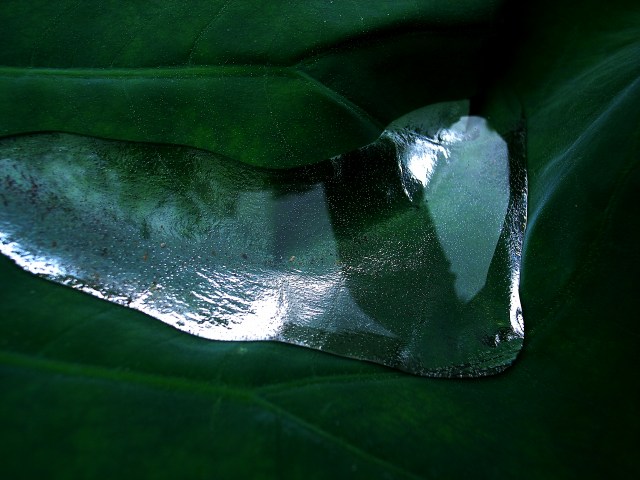 c0071611_937476.jpg