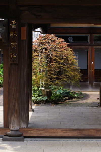 広尾寺町風情〜祥雲寺の風景_b0053019_22514649.jpg