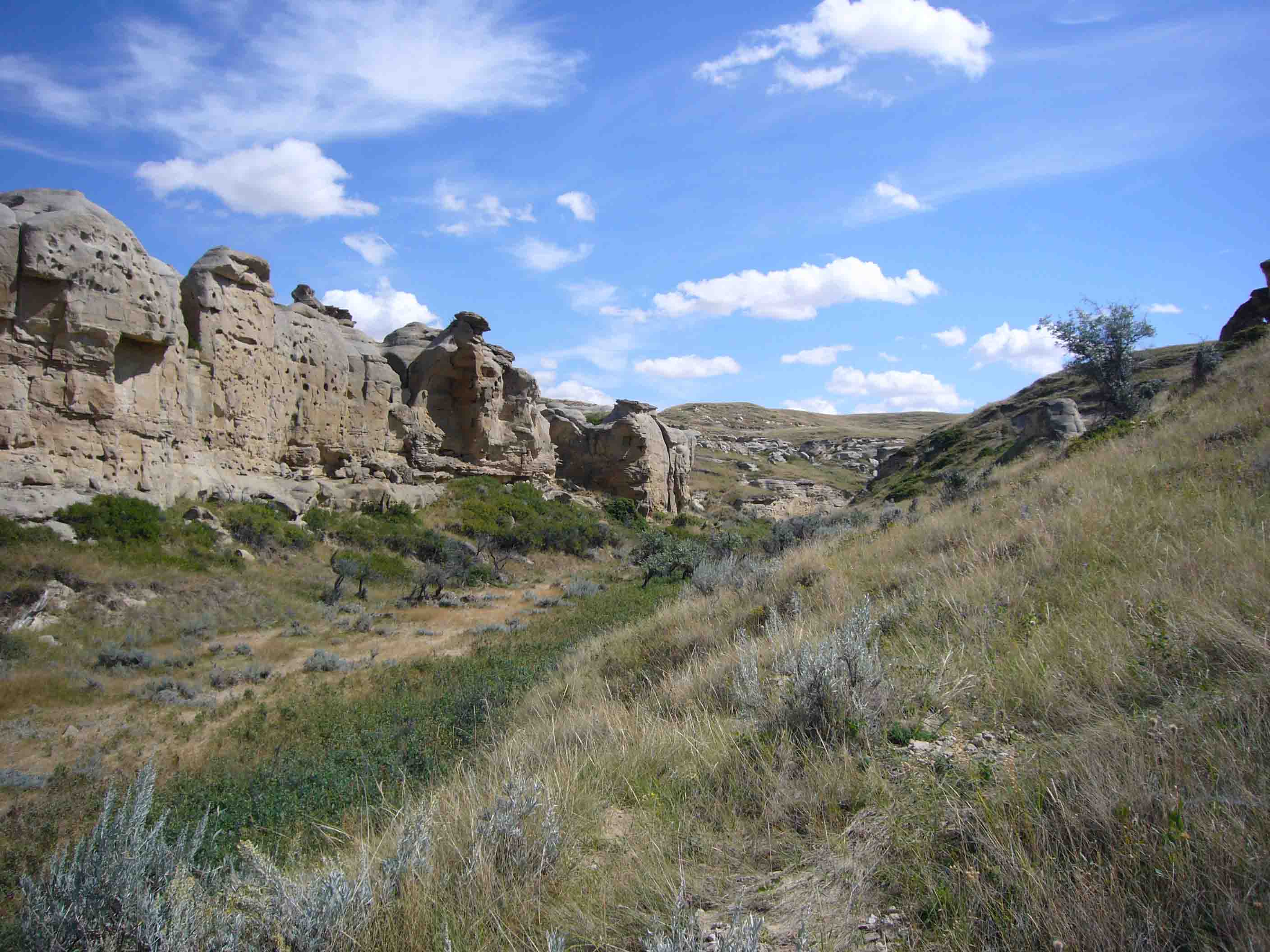 c0077835_1133052.jpg