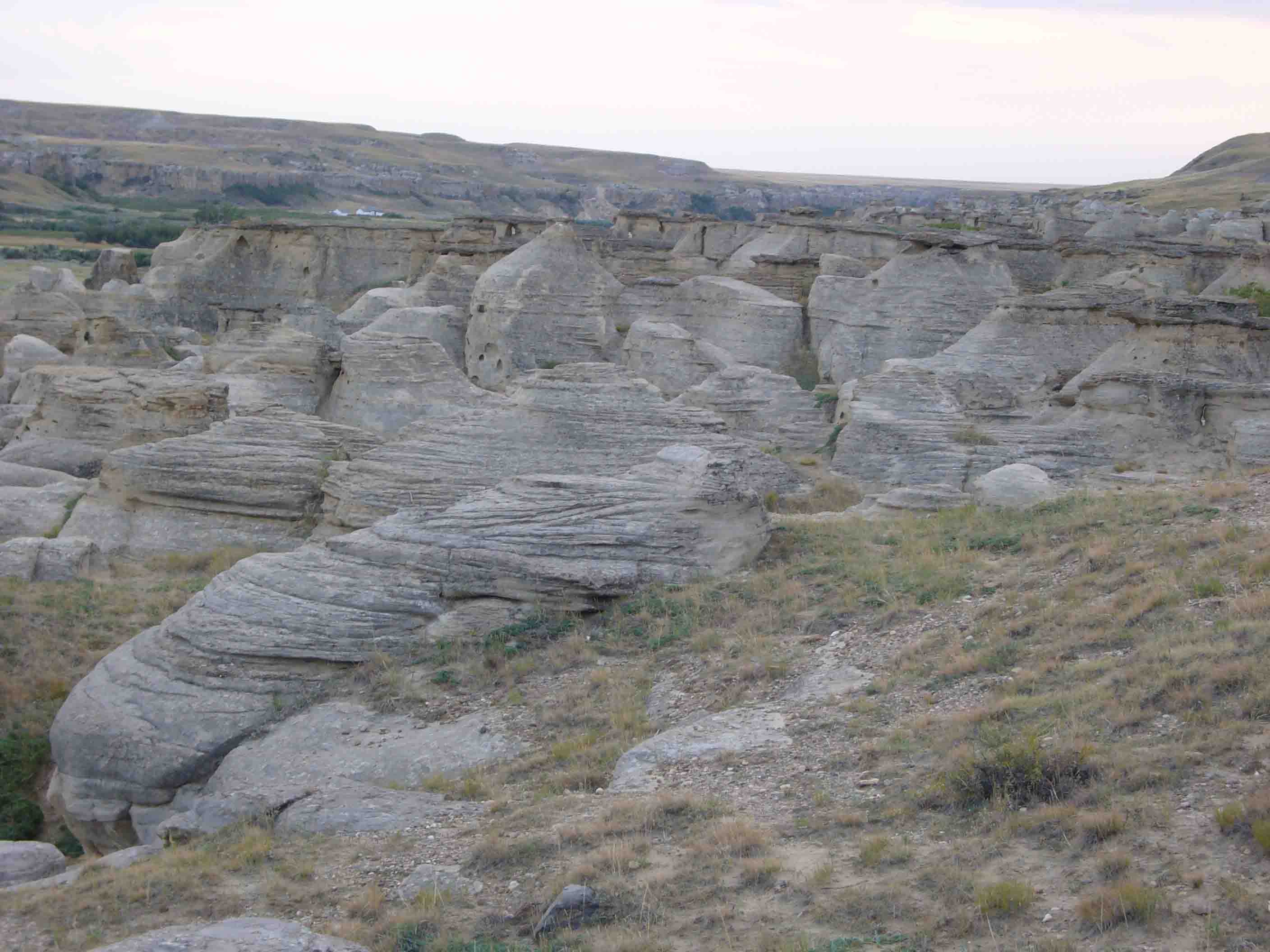 c0077835_1135390.jpg