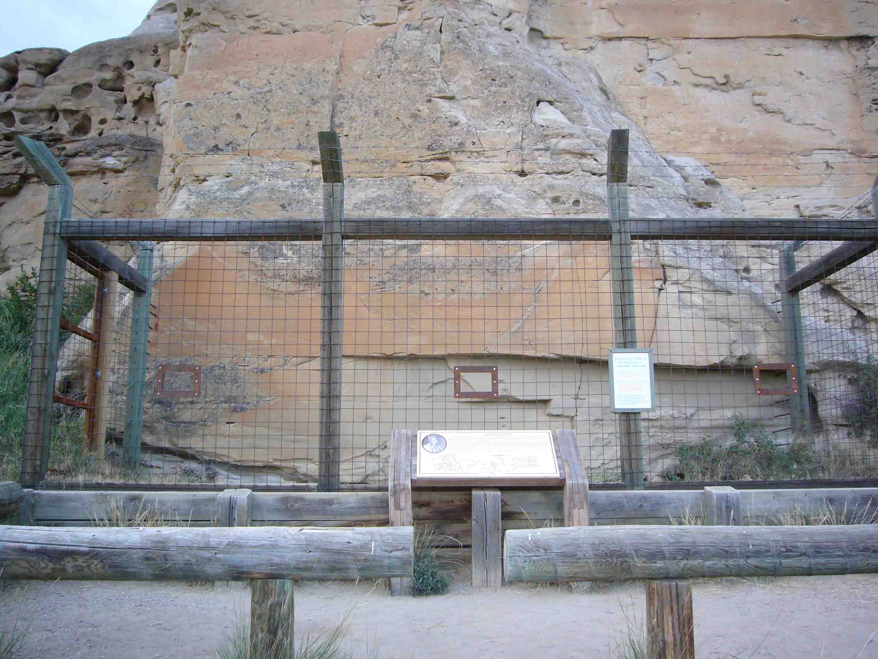 c0077835_1142063.jpg
