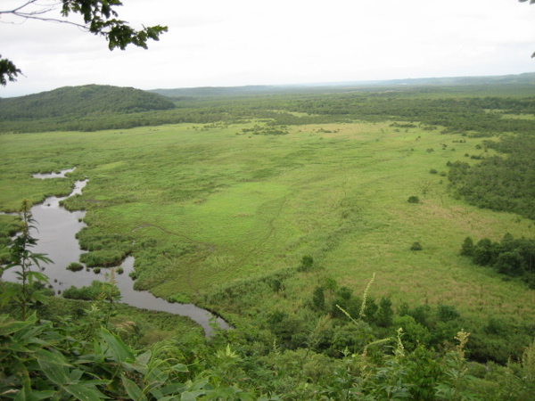 a0023737_2014117.jpg