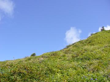 苗場山（なえばさん）登山：百名山_f0065941_14133881.jpg