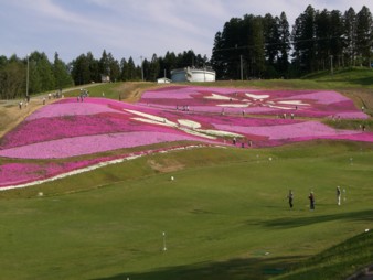 大森に「芝桜」を見に行こう_f0081443_11443565.jpg