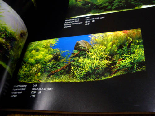 2006年コンテスト出品水景_a0049090_23525666.jpg