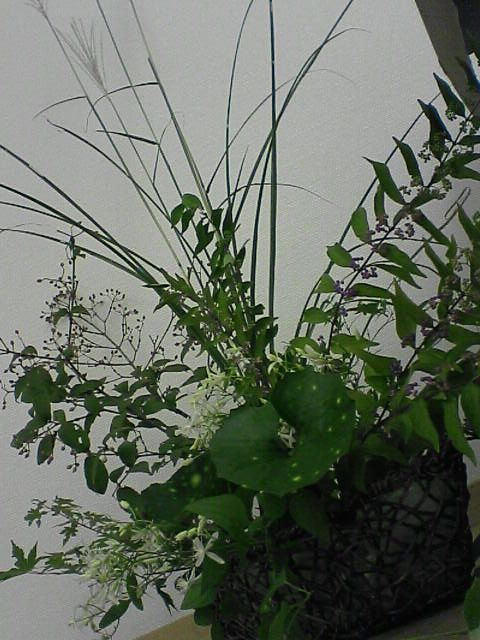 c0085630_0351182.jpg