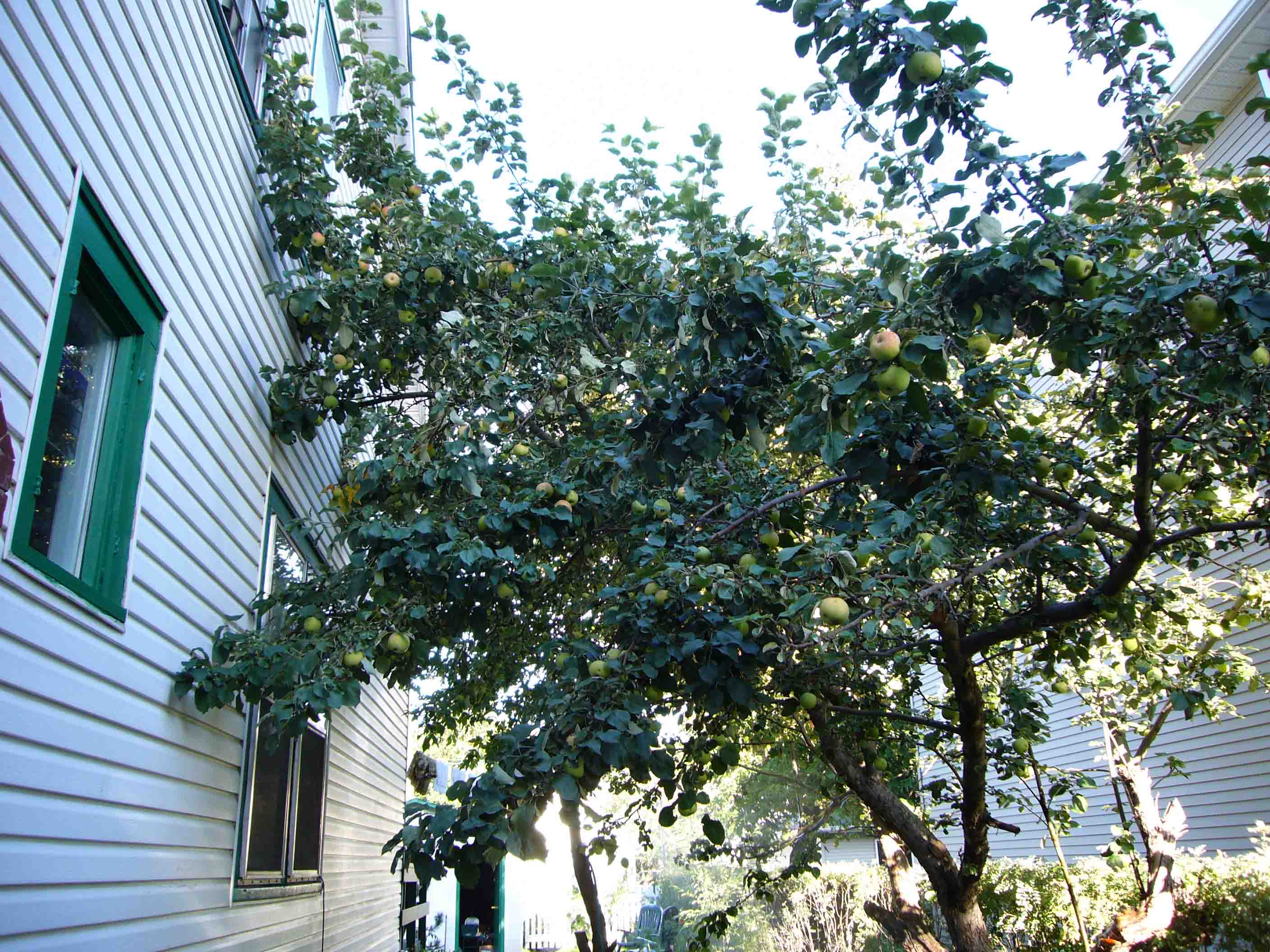 c0077835_281892.jpg