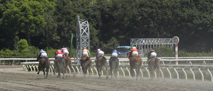 2006年9月2日（土） 高知競馬_a0077663_19335599.jpg