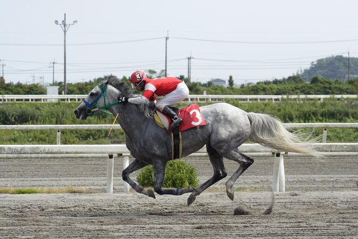 2006年9月2日（土） 高知競馬_a0077663_19403649.jpg