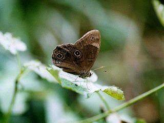 d0019074_9243547.jpg