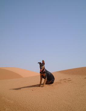 e0066474_056225.jpg