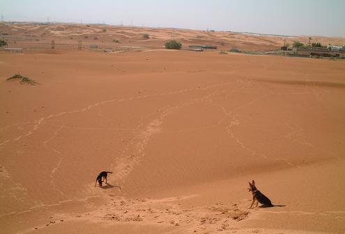 e0066474_0563197.jpg