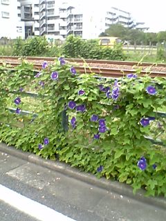 f0057478_955970.jpg