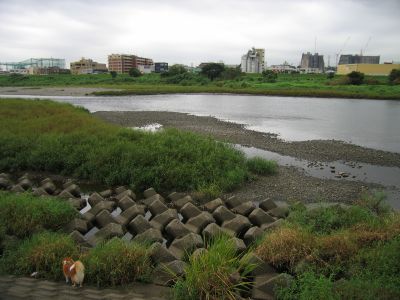 雨は降れど・・・_c0091679_1258365.jpg