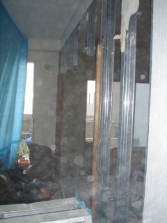 2006年9月6日 パサニア、突然部屋中大パニック!_b0098584_23231893.jpg