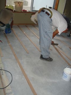 2006年9月6日 パサニア、突然部屋中大パニック!_b0098584_23233531.jpg