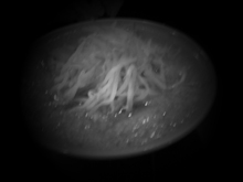 f0106000_15344655.jpg