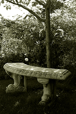 f0045624_177549.jpg