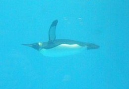 c0057946_11294764.jpg