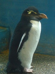 c0057946_11323459.jpg