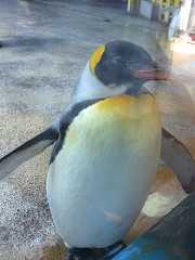 c0057946_11324445.jpg