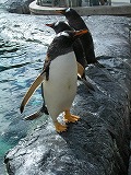 e0004756_204883.jpg