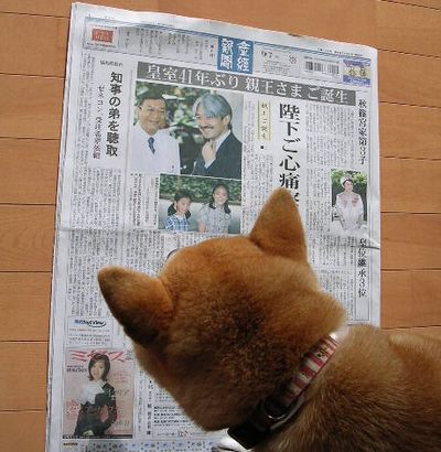 2006年9月7日(木)・・・ご親王さま、お誕生!_f0060461_10385884.jpg