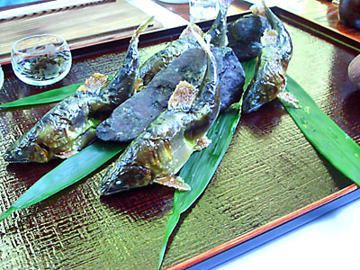 d0013068_2051290.jpg