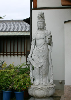 a0045381_123687.jpg