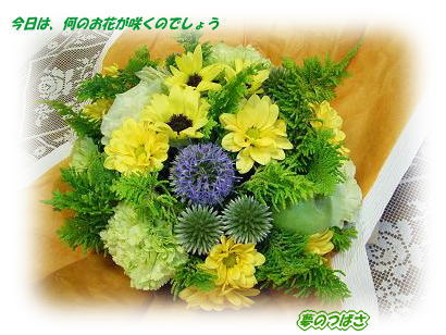 f0054187_11271.jpg