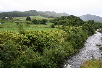 c0065797_23591621.jpg