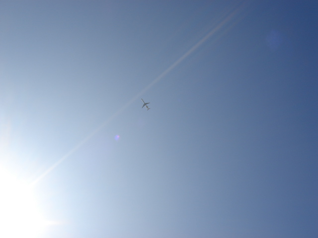 d0091001_0017.jpg
