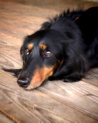 d0077603_1595225.jpg