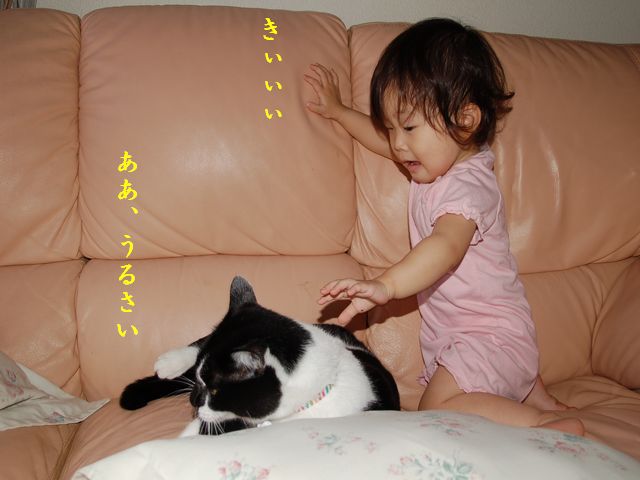 逃げる猫_e0094407_22505610.jpg