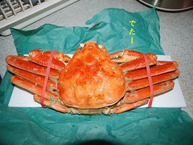 e0094407_23124921.jpg
