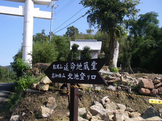 曇りなので_a0062810_14203956.jpg