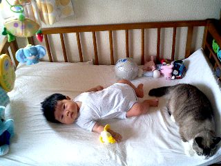 a0048721_14534780.jpg