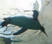 e0004756_19461031.jpg