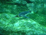 e0004756_1949012.jpg
