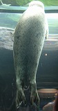 e0004756_19555689.jpg