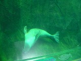e0004756_19562593.jpg