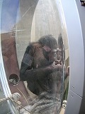 e0004756_2027027.jpg
