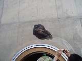 e0004756_20382483.jpg