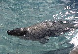 e0004756_206990.jpg