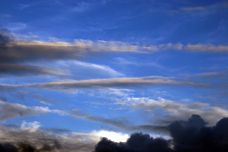 f0105478_12541064.jpg