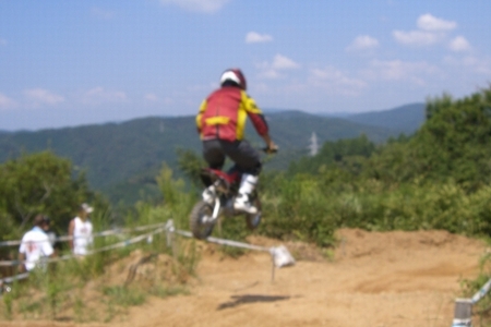 c0035980_12630.jpg