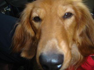 2006年9月7日 ロングドライブ。_b0098584_2384736.jpg
