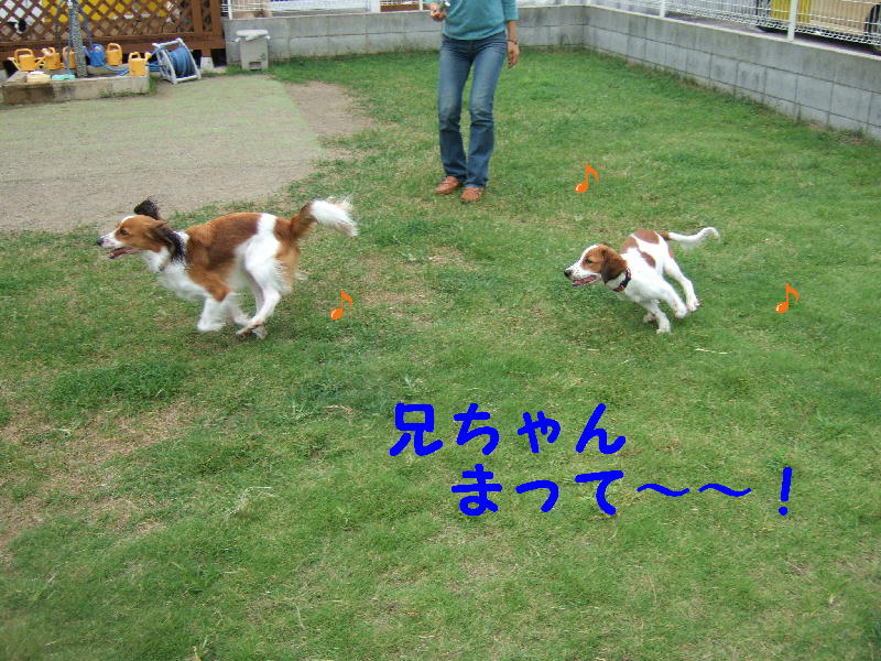 c0075585_0102917.jpg