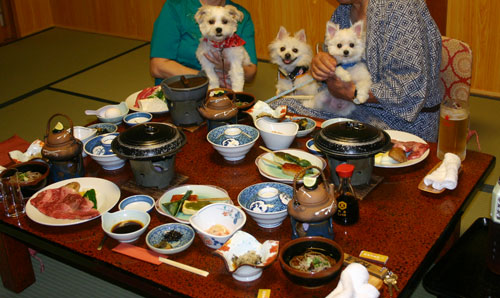 わんこ隊と行く『飯坂温泉(東北グルメ＆ゆかた一式プレゼントプラン)』_f0078014_184821100.jpg