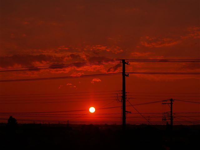 今日は夕焼けがとてもきれいでした。_d0081723_18245166.jpg